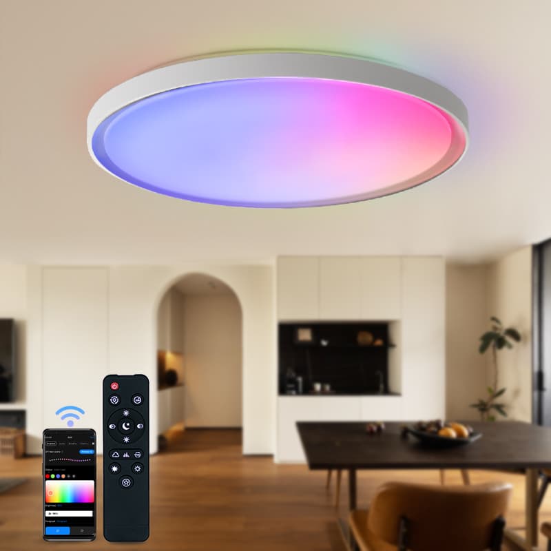 Smart Ceiling Lights 18 Inch Large Size