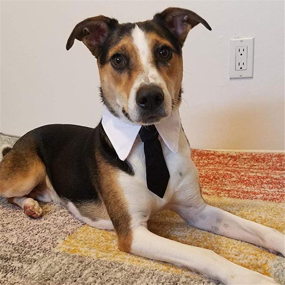 1PC Pet Dog Cat Formal Tie Adjustable